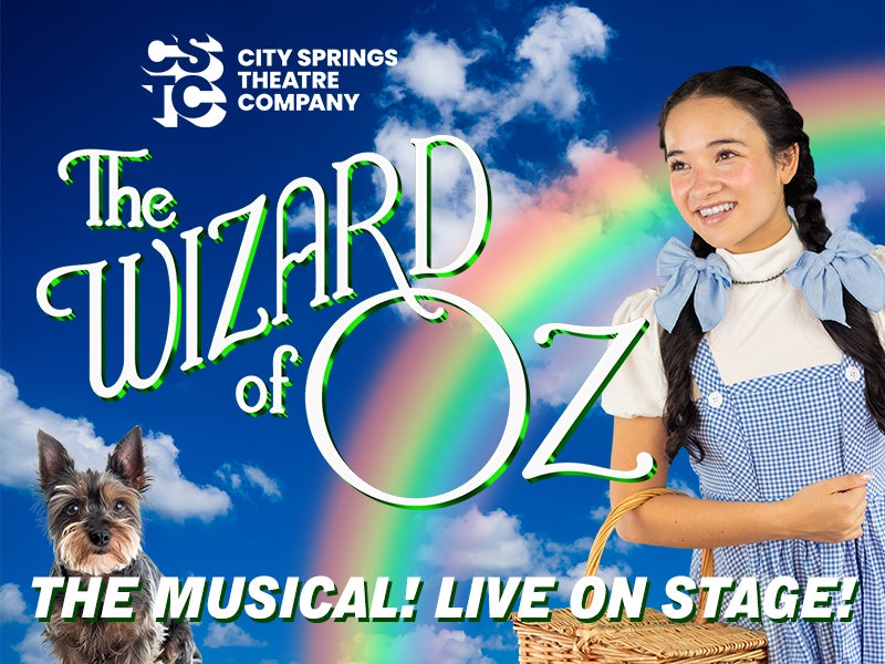 More Info for The Wizard of Oz: The Musical